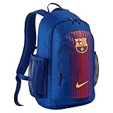 Nike 24 Ltr Blue Casual Backpack