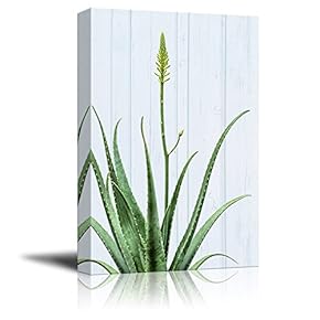 Canvas Print Wall Art - Aloe on Retro Style Background - Gallery Wrap Modern Home Art | Ready to Hang - 12x18 inches