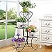 ZGXY Plant Stand Metal Flower Holder Pot with 4 tier Garden Decoration Display Wrought Iron 4 Layers Planter Rack Shelf Organizer for Garden Home Office Black