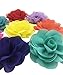 HBEDU Dog Collar Flowers Charms Accessories for Cat Puppy Pet Collars Rose Flower Grooming Decoration Pack of 8
