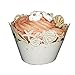 OULII Seashells Cupcake Wrappers Baby Shower Wedding Party Decoration 50pcs