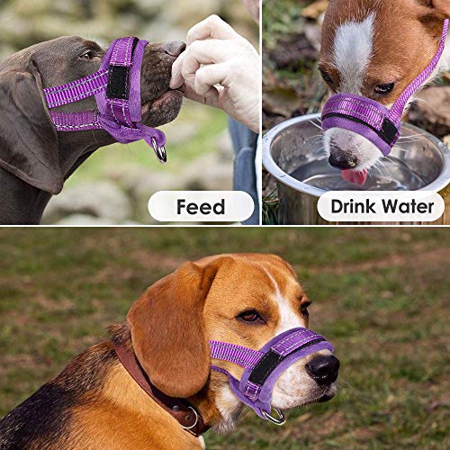 AutoWT Nylon Dog Muzzle, Adjustable Loop, Soft Flannel Padding, Comfortable Breathable Secure Quick Fit Muzzles for Small Medium Large Dog, Prevent from Biting, Chewing and Barking (M, Purple) - Thumbnail 2