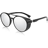 FEISEDY Classic Steampunk Sunglasses for Men Women Retro Round Gothic Shades Eyewear UV400 Protection B2957