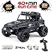 Remote Control Car,1:18 Scale 4WD Scale 40km/h High Speed Off Road RC Truck, 2.4Ghz Radio Controlled All Terrain Waterproof Truck.with 2 Rechargeable Batteries,45 Minutes of Game time