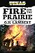 Fire On The Prairie (Fannin County, Texas Book 2)
