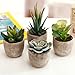 MyGift Faux Succulent Plants, Assorted Decorative Artificial Succulent Plants with Gray Pots, Set of 4