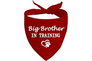 JXGZSO 1 Piece Big Sister/Brother in Training Dog Bandana Dog Pregnancy Announcement Gift (Big Brother D)