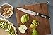 Zelite Infinity Serrated Utility Knife Kitchen, 6 Inch Knife, Chopping Knife, Kitchen Utility Knife, Knife Kitchen Utility, Kitchen Knife - German High Carbon Stainless Steel - Razor Sharp Knife