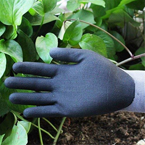 Assyrian Shielding - Outdoor Garden Protective Glove Wear Resistant Breathable Housekeeping Mechanical - Custodial Cautionary Guardian Covering Contraceptive Preservative