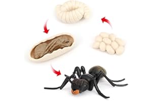 HVOGVOK Ant Growth Cycle, Animal Growth Cycle Biological Model Toy Growth Stage Lifelike Ant Life Cycle Model Toy Set for Kids Education Insect Themed Party Favors