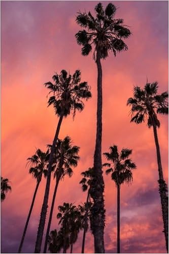 Palm Trees At Sunset In Santa Barbara California Usa Journal 150 Page Lined Notebook Diary Creations Cs Amazon Com Books