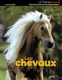 Les  chevaux
