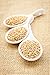 Food to Live Organic Golden Flax Seeds, 1 Pound – Whole Raw, Non-GMO, Kosher, Vegan, Bulk. Rich in Omega-3 Fatty Acids, Protein, Dietary Fiber. Great for Smoothies, Salads, Granola, & Baked Goods.