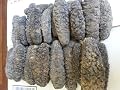 ERLIN Sea Cucumber Natural Sun Dried Badionotus Leechy 1 Pound