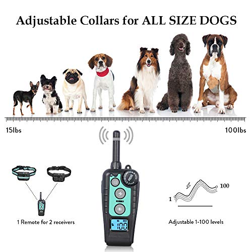 tokego dog training collar