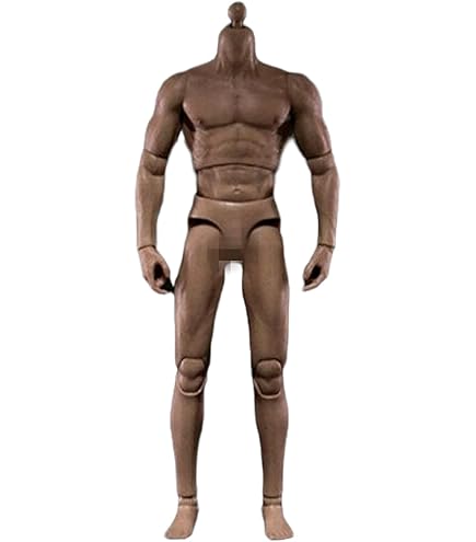 1/6【SDH016D】SUPER DUCK WorldBox TBLeague Amazon.com: i8 TOYS