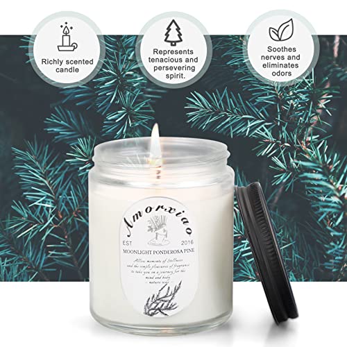 Christmas Candles Gifts for Women - 6.6Oz Candles for Home Scented，Lavender & Ponderosa Aromatherapy Candles Soy Wax Jar Candles，Reading , Yoga and Birthday Candles Set Gift（2 Pack）