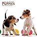 For the Love of Puppies 2020 7 x 7 Inch Monthly Mini Wall Calendar with Foil Stamped Cover, Animals by 