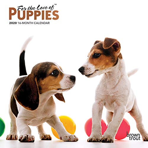 For the Love of Puppies 2020 7 x 7 Inch Monthly Mini Wall Calendar with Foil Stamped Cover, Animals by 