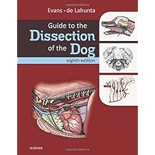 Guide to the Dissection of the Dog