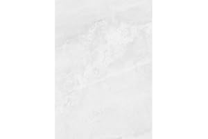 Dumawall+ Waterproof Wall Tile Sample, No Tongue & Groove, Easy-to-Install, UV Resistant, Strong & Durable, No Grouting, Cut with Hand Tools, Paris Polished Marble