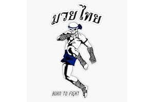 VISION GRAPHICS Muay Thai Knee - Skull Logo Sticker Bumper Sticker Vinyl Decal 5"