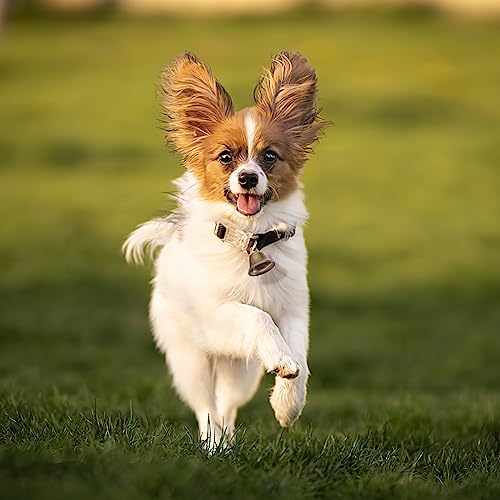 VGOODALL 50PCS Vintage Jingle Bells, Bronze Bells for Craft Brass Craft Bells 1.7\