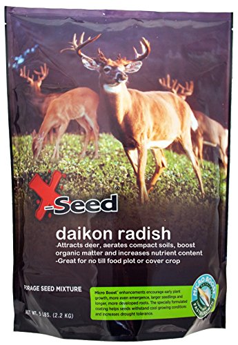 X-Seed 20213 Daikon Radish Food Plot with Micro-Boost