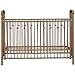 Little Seeds Monarch Hill Ivy Metal Crib, Gold