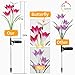 Solar Flower Lights, Solar Lights Outdoor Garden Decorative with 7 Lily Flower 1 Butterfly for Yard Patio Lawn Garden Decorations (Purple + Red)