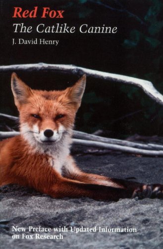 Red fox: The Catlike Canine (Smithsonian Nature Book) - Thumbnail 2