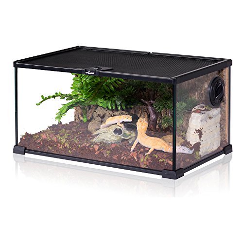 Lizard Cages for sale Only 4 left at 60