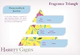 Hassett Green London Honeysuckle & Jasmine Fragrance Oil Refill 250ml view 3