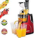 Masticating Juicer Machines, Hethtec Cold Press Juice Extractor with Large Double-Chute and Clean Brush for Fruits and Vegetables, High Yield, BPA-Free, 60R/M, 150W