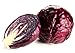 Red Acre Cabbage 4 Plants - Easy to Grow, Great Taste
