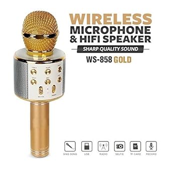 wireless microphone hifi speaker price