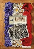 Plantes de poilus : La fleur et le fusil en 14-18 by