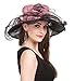 Saferin Women's Kentucky Derby Sun Hat Church Cocktail Party Wedding Dress Organza Hat Two Tone Color
