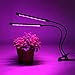 Dimmable Spectrum Plant Grow Lights Greenhouse for Hydroponics [Free Adapter] Adjustable Led Gooseneck Growing Lamps Indoor for Seedlings Cactus Succulent Dual Head Lighting Desk Clamp Clip Lamps