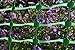 DRY TOP 4'X100 71410 4'X100' GREEN SAFETY FENCE, 4 Feet x 100 Feet