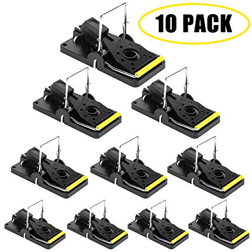 Mouse Trap, Mice Trap That Works Human Power Mouse Killer 100 Mouse Catcher Quick Effective Sanitary Safe for Families and Pet 10 Pack