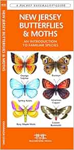 New Jersey Butterflies Amp Moths A Folding Pocket Guide To