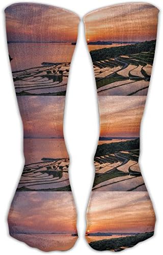 Soccer Striped Bape Panda Dog Collar Graduated Compression Socks For Women And Men - Best Medical, Nursing, Travel Running Fitness