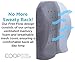 Coop Home Goods - Memory Foam Lumbar Support Back Cushion - Infused with Bamboo Charcoal- Professional Design-Ventilated to Stay Cool with Adjustable Stay Put Strap Orthopedic Pain Relief