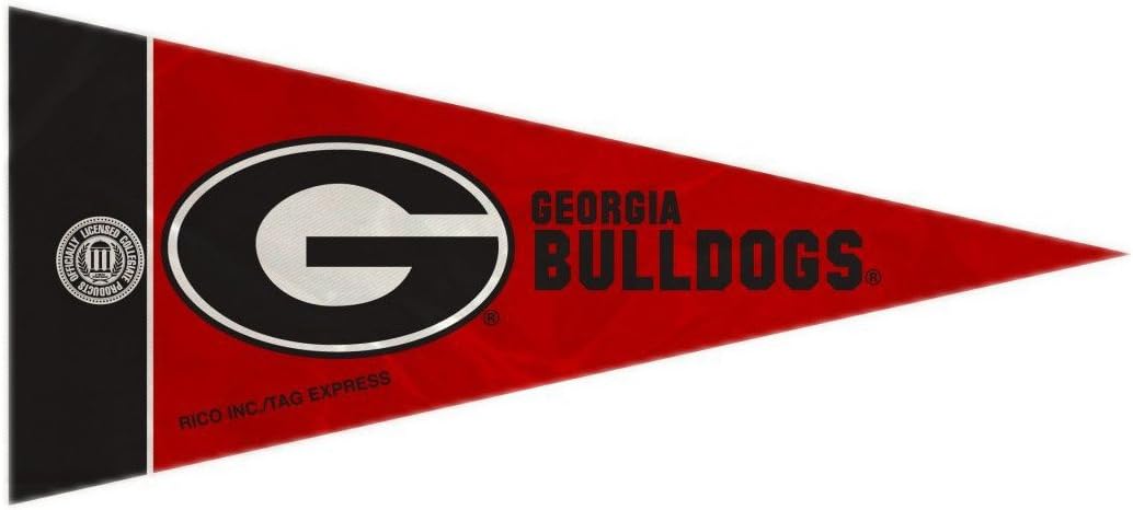 Rico IndustriesNCAA Mini Pennant Set 4" x 9" Felt Mini Pennant Team Set (Includes 8 Pieces)