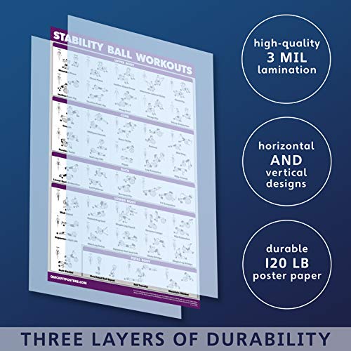 QuickFit Exercise Ball Workout Poster - Stability Ball Routine - Balance Ball - Double Sided (Lamina - //medicalbooks.filipinodoctors.org
