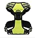 Chai's Choice Best Outdoor Adventure Dog Harness (X-Large, Green)