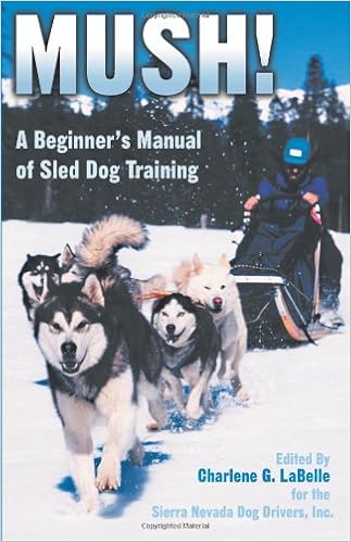 sled dogs amazon