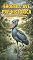 Livro Shoebill : Ave Pré-Histórica