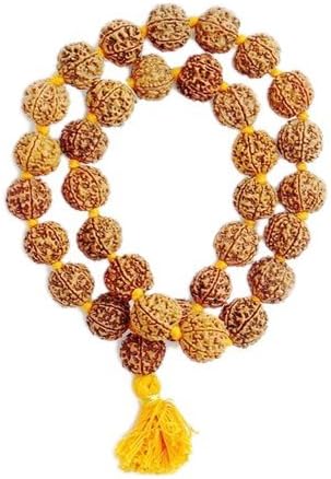 5 Mukhi Rudraksha Kantha Mala - Brown Neelkanth Rudraksha